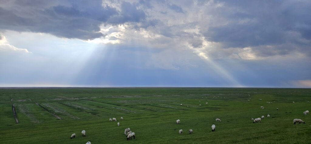 Gewitterstimmung mit Blick aufs Wattenmeer