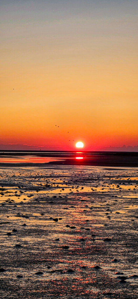 Sonnenuntergang überm Wattenmeer im Naturschutzgebiet Beltringharder Koog