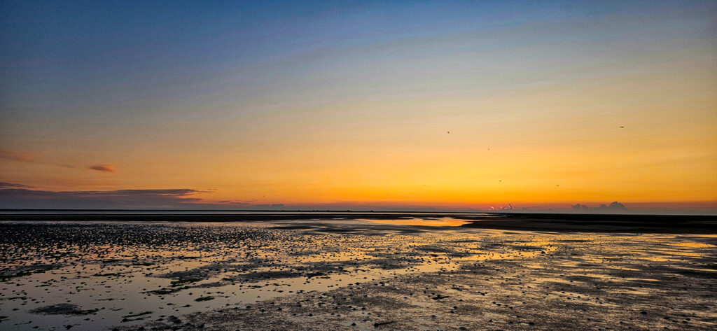 Das Wattenmeer im Naturschutzgebiet Beltringharder Koog