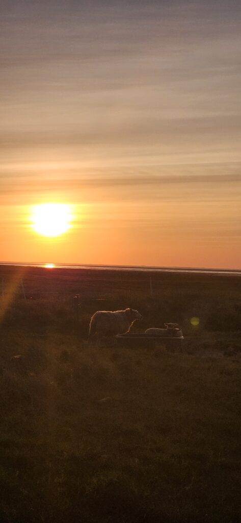 Der nächste wunderbare Sonnenuntergang. Heute an der Westküste Dänemarks